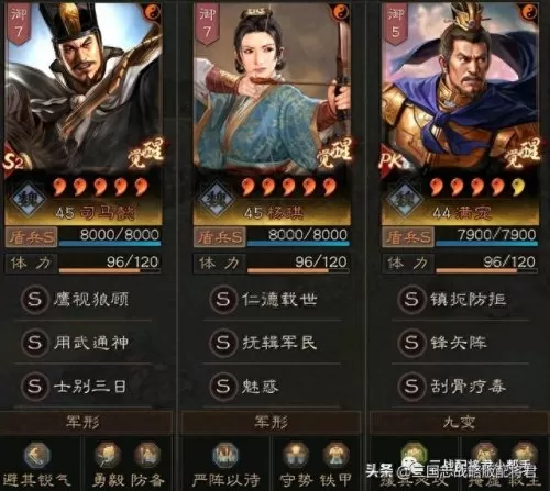 刘备满宠阵容怎么搭配　三国志战略版刘备混搭-第2张