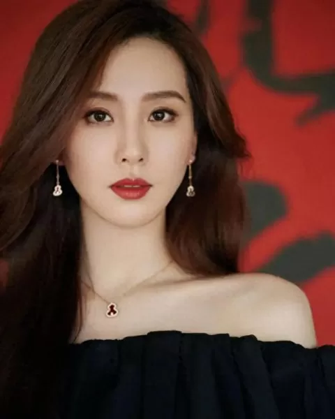 刘诗诗新剧阵容搭配　刘诗诗演的全部电视剧-第2张