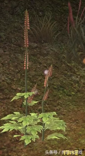 剑三甘草搭配阵容图鉴　剑网三菜谱攻略大全-第2张
