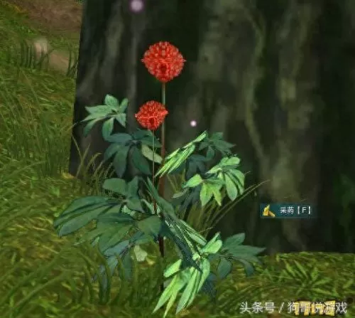剑三甘草搭配阵容图鉴　剑网三菜谱攻略大全-第14张