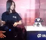 剑盾人机阵容搭配推荐　宝可梦剑盾最佳队伍搭配-第4张