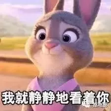 动物好声音阵容搭配图　动物好声音国语版免费-第32张