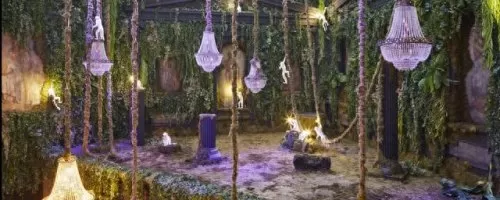 动物战争必胜阵容搭配　宠兽争斗0氪阵容-第1张