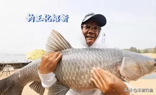 化氏战队超级阵容搭配　pk赛季t0阵容一览表-第2张