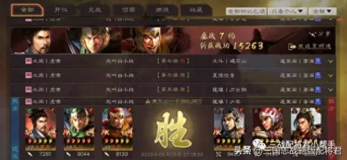 北伐枪阵容战法搭配大全(平民吴枪阵容战法搭配)-第4张