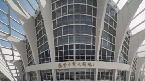 半身凤凰阵容搭配图　凤凰降临第六关怎么过-第4张