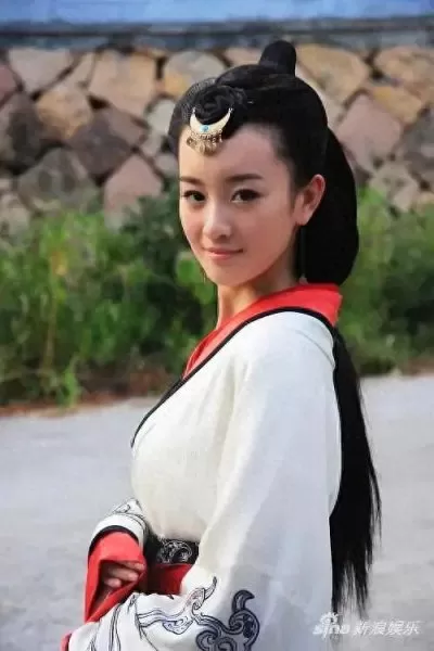 卫子夫演员阵容搭配图片(卫子夫40集完整版免费)-第2张