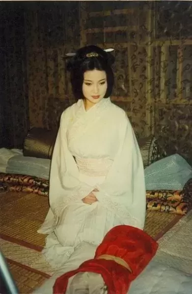 卫子夫演员阵容搭配图片(卫子夫40集完整版免费)-第3张