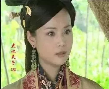 卫子夫演员阵容搭配图片(卫子夫40集完整版免费)-第7张