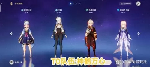 原神无敌阵容搭配图鉴　原神新版本最强阵容-第5张