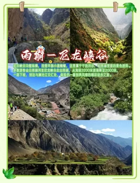 原神水队阵容搭配图　原神平民萌新配队-第16张