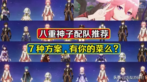 原神胡桃神子阵容搭配　黑胡桃色搭配禁忌-第1张