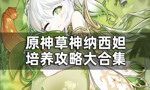 原神草属性阵容搭配　原神草元素角色-第1张