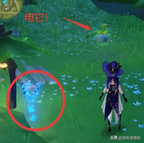 原神蘑菇兽阵容搭配　原神卖普通蘑菇的商人-第8张