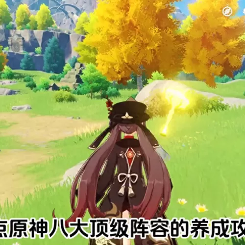 原神阵容搭配推荐中　原神最新t0阵容-第1张