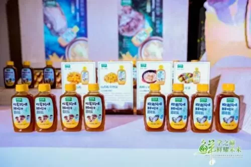 厨师怎么搭配阵容啊　料理次元阵容大全搭配-第6张