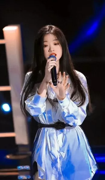 双人女歌手阵容搭配　两个女的唱歌组合有哪些-第2张