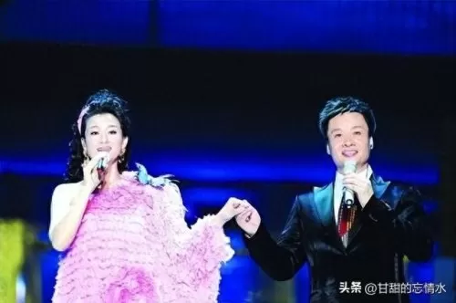双人女歌手阵容搭配推荐(双人组合唱歌推荐)-第9张