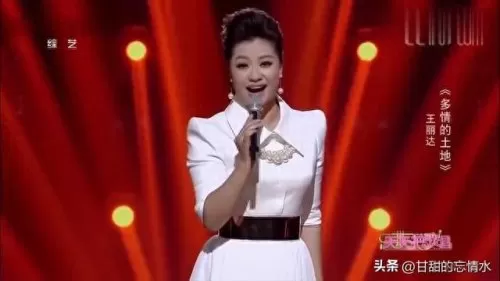 双人女歌手阵容搭配推荐(双人组合唱歌推荐)-第12张