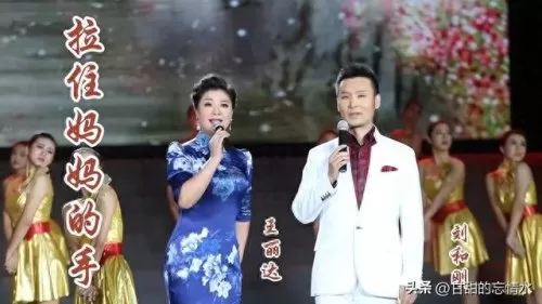 双人女歌手阵容搭配推荐(双人组合唱歌推荐)-第16张