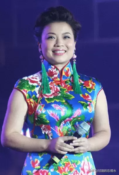 双人女歌手阵容搭配推荐(双人组合唱歌推荐)-第26张