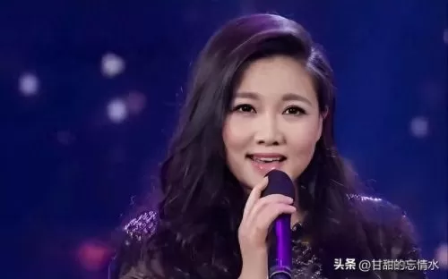 双人女歌手阵容搭配推荐(双人组合唱歌推荐)-第48张