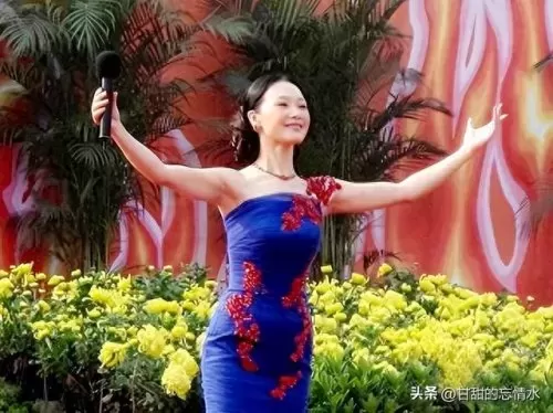 双人女歌手阵容搭配推荐(双人组合唱歌推荐)-第54张