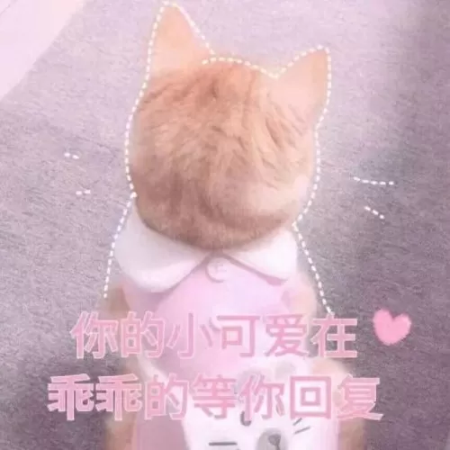 双持斯太尔怎么搭配阵容(双持斯泰尔天使适合打什么)-第5张