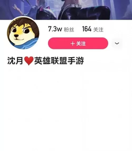双边之城最强阵容搭配图(双边阵容怎么选英雄)-第4张