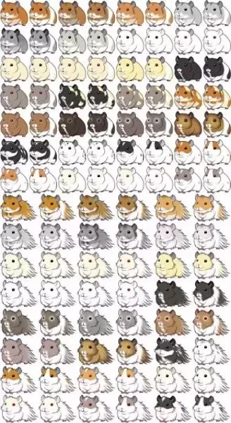 叙利亚老鼠阵容搭配　猫和老鼠鼠方最强阵容-第3张