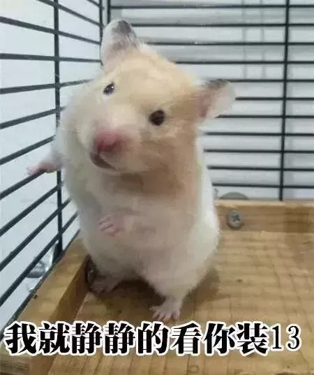 叙利亚老鼠阵容搭配　猫和老鼠鼠方最强阵容-第7张