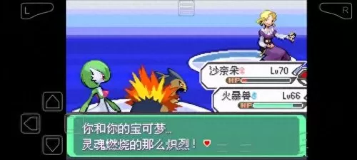 口袋妖怪复制阵容搭配　口袋妖怪阵容各种流派-第4张