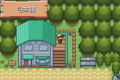 口袋妖怪釉色阵容搭配　口袋妖怪釉色必练精灵-第13张