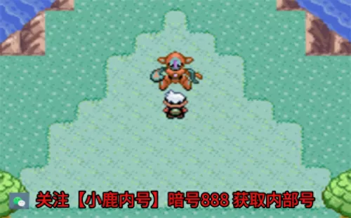 召唤流最强搭配什么阵容(恐怖黎明骷髅召唤流)-第2张