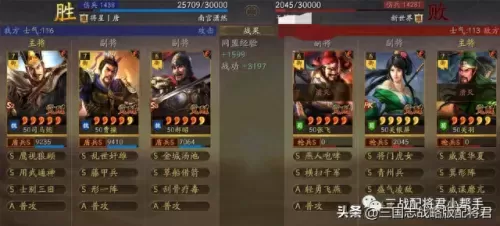 司马搭配什么阵容最强　极限司马懿阵容搭配-第10张