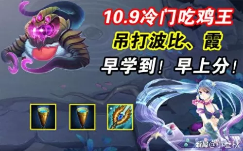 吃鸡之王阵容装备搭配　吃鸡哪两把枪搭配最好-第1张
