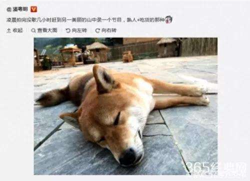向往的生活2阵容搭配　与你在一起bnb最全攻略-第4张