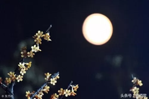 启源女神嫦娥阵容搭配　启源女神平民的四大最强阵容-第2张