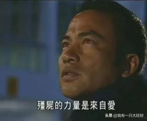 命运棋子的阵容怎么搭配(命运的棋子)-第6张
