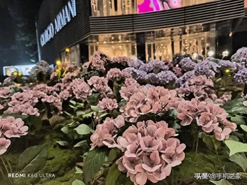 和平精英史诗级阵容搭配(和平精英最恐怖的阵容搭配)-第21张