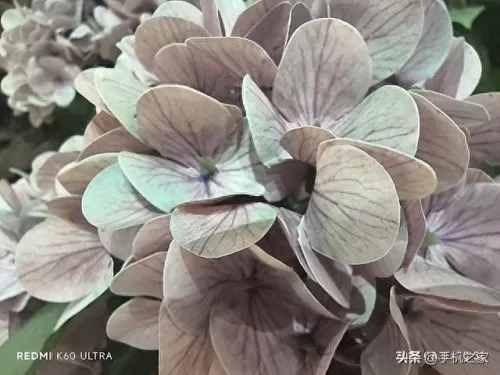 和平精英史诗级阵容搭配(和平精英最恐怖的阵容搭配)-第24张