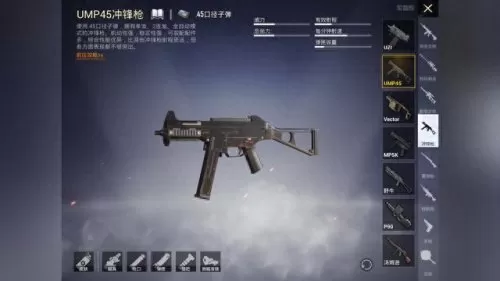 和平精英最好阵容搭配表(和平精英中最强的阵容搭配)-第1张