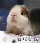 四海牧云最强阵容搭配　新版本最强阵容-第1张