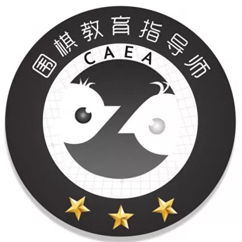 围棋阵容搭配表格图片　围棋常见十二种布局-第3张