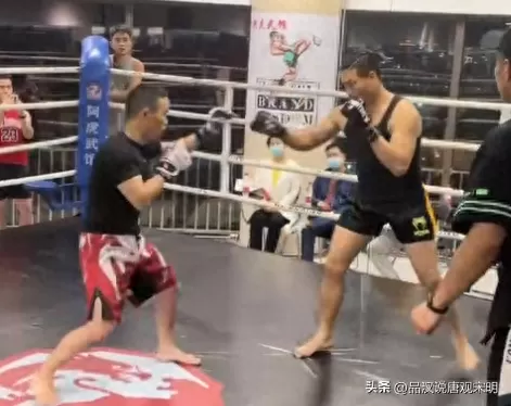 圣斗士修罗沙加阵容搭配(圣斗士平民拉达阵容搭配)-第4张
