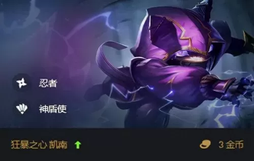 圣盾使天选阵容搭配　最新赛季六神盾使配合什么阵容-第3张