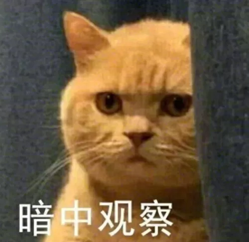 塔防最强射手阵容搭配　塔防游戏手游排行榜-第6张