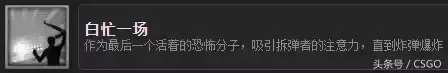 cs百科　反恐精英百度百科-第21张