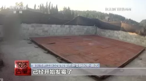 2023类似地下城与勇士的手游　哪一款手游最像dnf-第8张