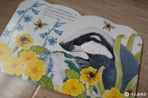 4399奥奇传说小助手　手机玩奥奇传说的插件-第25张